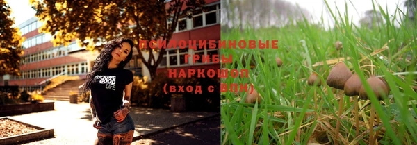 ECSTASY Волоколамск