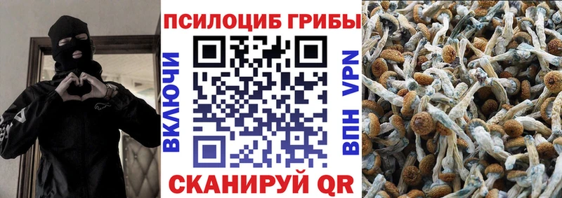 Галлюциногенные грибы Magic Shrooms  Купить где  Каргополь 